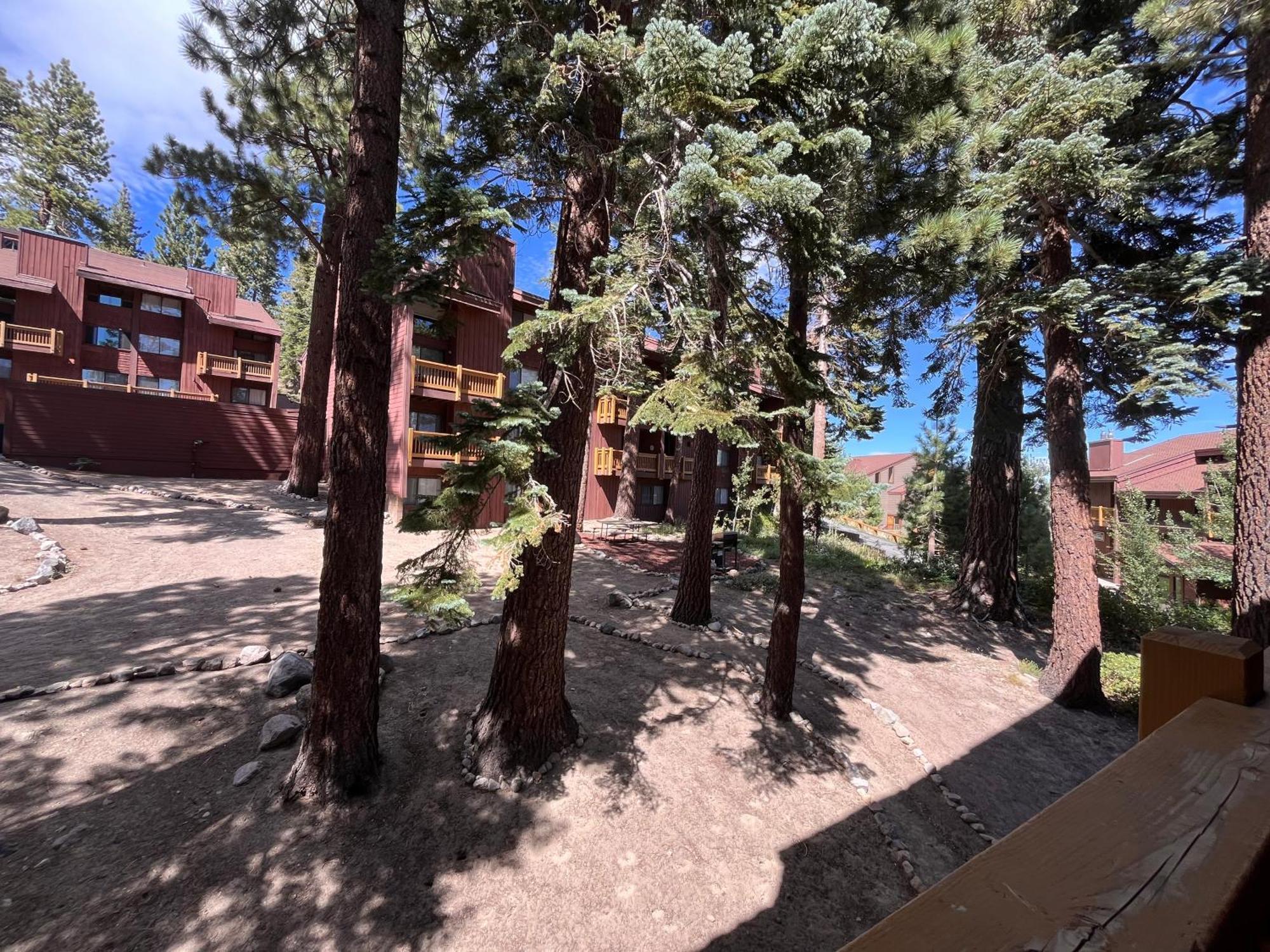 Tastefully Remodeled Condo At Mammoth Ski & Racquet Club, Hot Tub, Garage, 10 Min Walk To Ski Lifts Mammoth Lakes Extérieur photo